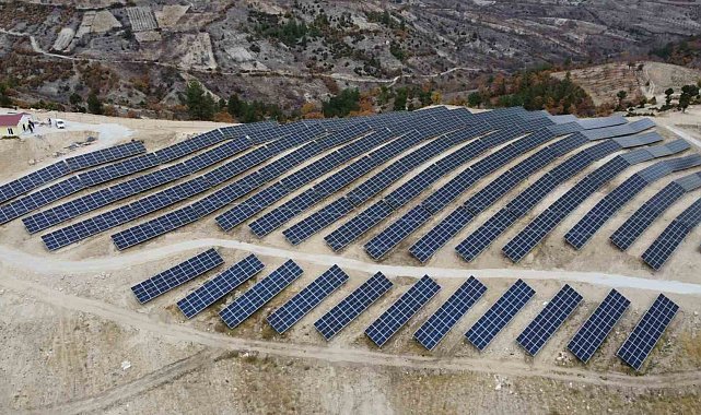 Hayat, enerjisini güneşten alıyor