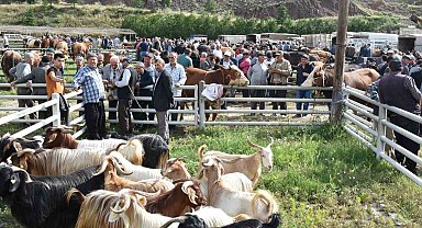 Hayvan pazarında kurbanlıklar görücüye çıktı