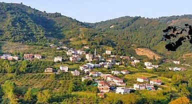 Hırsızlar, Alaplı'da boş evlere dadandı