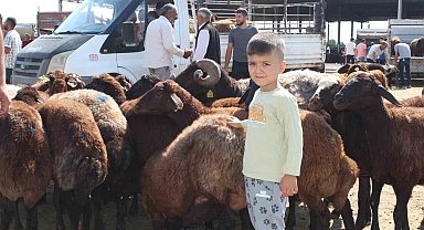 Iğdır'da Kurban Bayramı'na saatler kala kurbanlık satışı devam ediyor