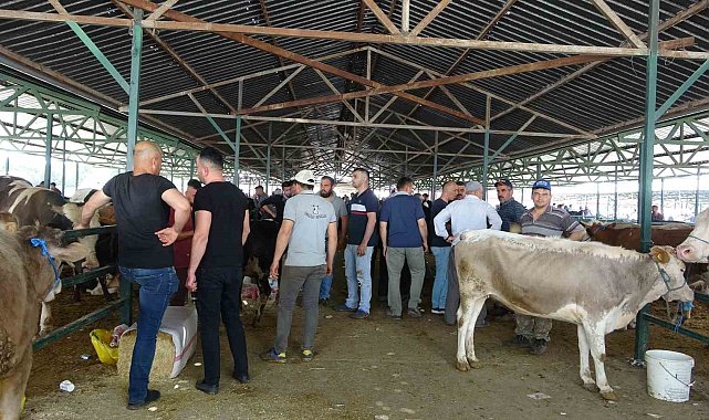 Isparta'da Kurban Bayramı'na saatler kala kurbanlık satışı devam etti