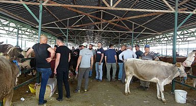 Isparta'da Kurban Bayramı'na saatler kala kurbanlık satışı devam etti