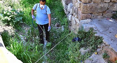 İzmir'de sivrisineklere karşı etkin mücadele