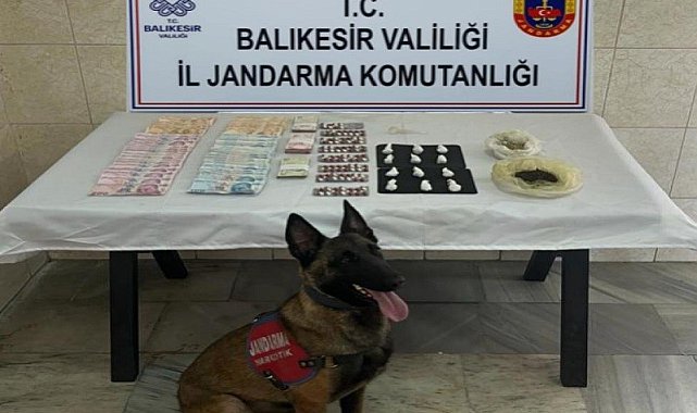 Jandarma narkotik köpeği Çömlek'ten kaçamadılar