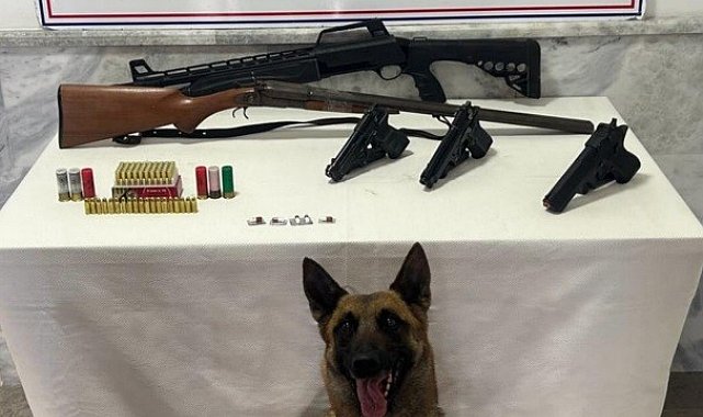 Jandarma ruhsatsız tabanca ve tüfek ele geçirdi