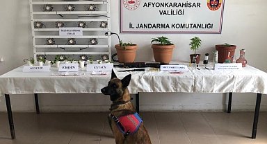 Jandarmadan uyuşturucu tacirlerine geçit yok