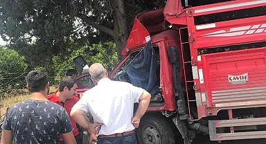 Kamyonet ağaca çarptı: 1 ölü, 6 yaralı