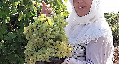 Karaciğer nakli yapılan kadın evinde ölü bulundu