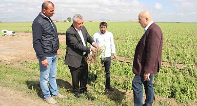 Karaman'da dolu ekili arazilere zarar verdi, tarlalar kış mevsimi gibi beyaza büründü