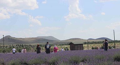 Karapınar'daki lavanta bahçesi turistlerin uğrak noktası oldu