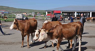 Kars Hayvan Pazarı'nda durgunluk yaşanıyor