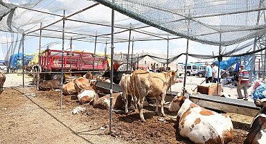 Kayseri Büyükşehir kurban tedbirlerini aldı