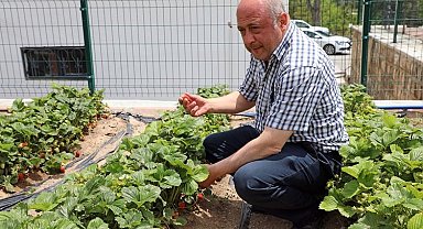 Kayseri Talas'tan deneme bahçelerine teşvik