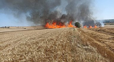 Keşan'da 30 dönüm buğday ekili arazi kül oldu