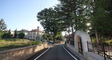 Kesmeye kıyamadıkları 2 asırlık meşe ağacı yol ortasında kaldı