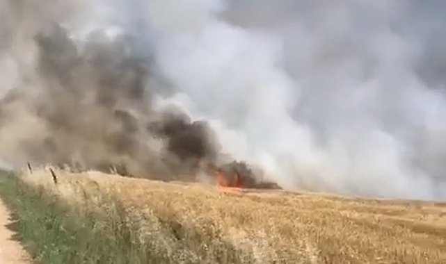 Kırklareli'de 90 dönümlük buğday tarlası küle döndü