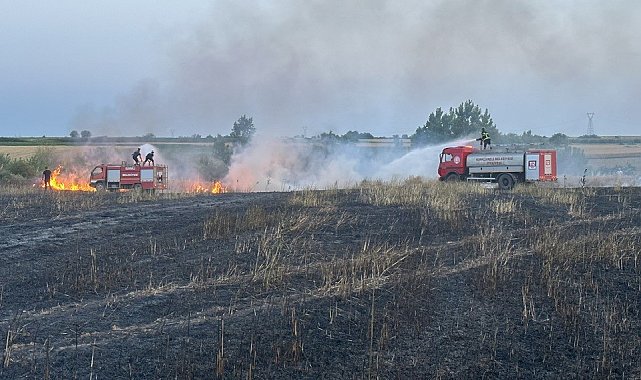 Kırklareli'nde yangın: 20 dönüm buğday küle döndü