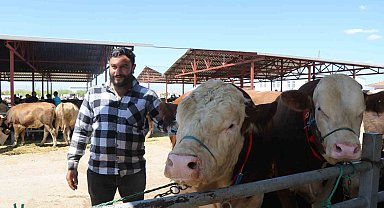 Kırşehir'de otomobil fiyatına kurbanlık