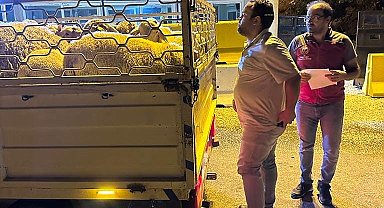 Köyceğiz'de hayvan sağlığı ile ilgili denetimler aralıksız sürüyor