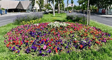 Köylü kadınların çiçekleri Başkenti süslüyor