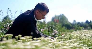 Kozmetik ve ilaç sanayiinin bitkileri Edirne'de yetiştiriliyor