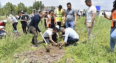 Kuraklığa karşı bin fidan