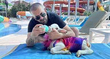 Kurban Bayramı öncesi kuzusuyla tatil yaptı