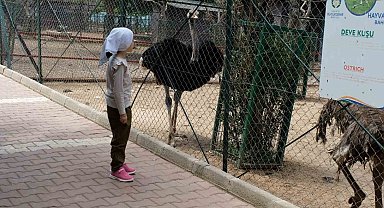 Kurban Bayramı'nda Hayvanat Bahçesi öğrencilere ücretsiz olacak