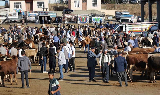 Kurbanlık alacaklar dikkat: "Hayvanlarda fiziki kusur olmaması gerek"