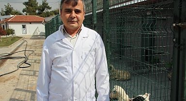 Kurbanlık alırken dikkat edilmesi gerekenler