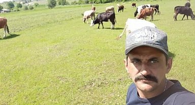 Kurbanlık düveleri kayboldu... Heryerde düvelerini arıyor!