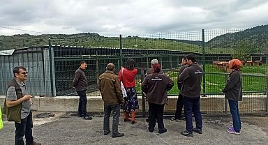 Kütahya Belediyesi Sokak Hayvanları Bakım Evi denetlendi