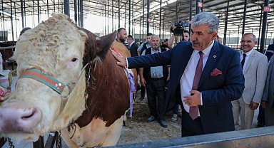 Kütahya'da 'Kurban Pazarı' açıldı