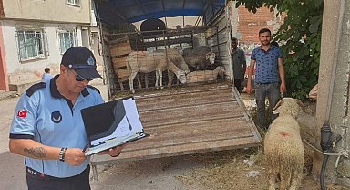 Mahalle arasında kurban satışına izin yok