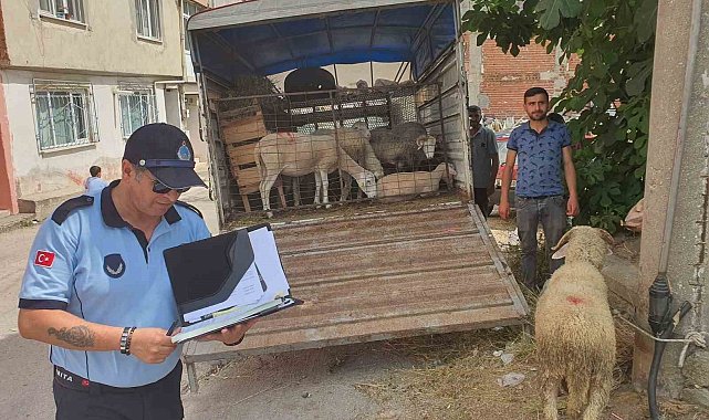 Mahalle arasında kurban satışına izin yok