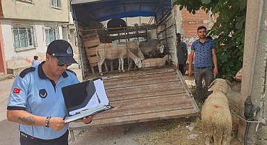 Mahalle arasında kurban satışına izin yok