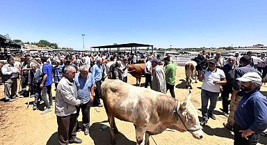 Malatya'da canlı Hayvan Pazarı'nda Arife günü yoğunluğu