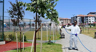 Mamak Belediyesi'nden çevre dostu biyolojik mücadele