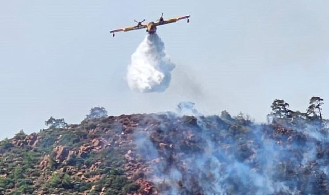 Marmaris'te orman yangınıyla ilgili 1 kişi gözaltına alındı