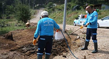 Merkezefendi'de tüm mahalleler ilaçlanıyor