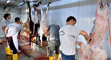 Mersin Büyükşehir Belediyesinin mezbahaları ve mobil kesim ünitelerine yoğun ilgi