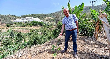 Mersin'de üreticilere passiflora fidesi desteği
