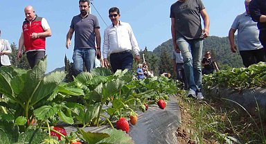 Meslek Liselilerden tarımsal üretime destek