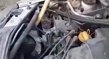 Motora giren yılan güçlükle çıkarıldı