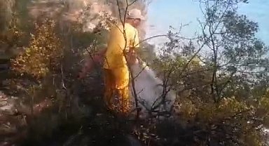 Muğla'da orman yangını ekiplerin zamanında müdahalesi ile söndürüldü