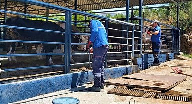 Muğla'da Büyükşehir tüm birimleri ile bayrama hazır