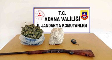 Narenciye bahçesini kenevir tarlasına çevirmişler
