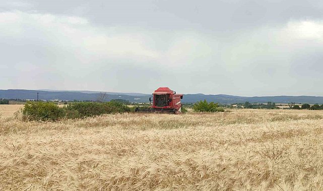 Öğrencilerin yetiştirdiği ilk arpa, salonda satıldı