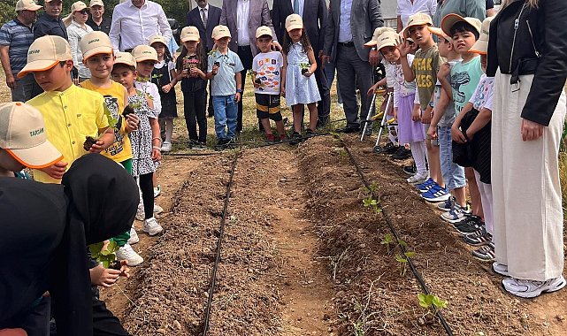 Okulda çilek dikmeyi öğrendiler