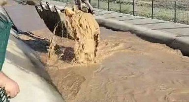 Operatörden alkışlanacak hareket: Su kanalına düşen boğayı kepçeyle kurtardı